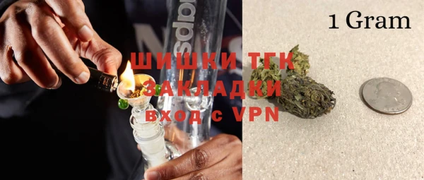 сатива Арсеньев