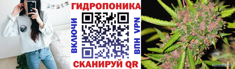 блэк спрут ONION  сайты даркнета официальный сайт  Озёрск  Марихуана AK-47  сколько стоит 